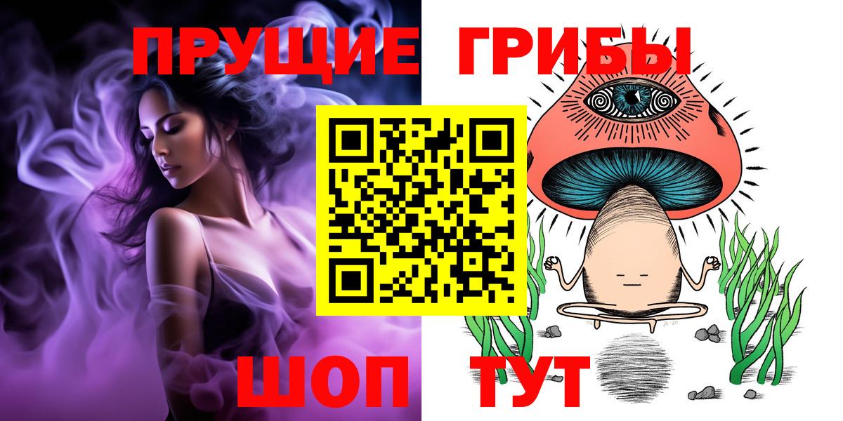 Казань  Галлюциногенные грибы MAGIC MUSHROOMS  что такое   Вход с VPN  Псилоцибиновые грибы Psilocybe 
